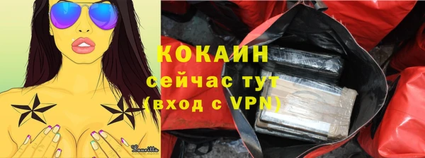 твердый Арсеньев