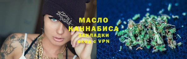 хмурый Аркадак