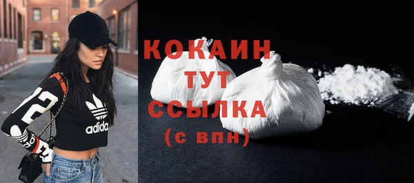твердый Арсеньев