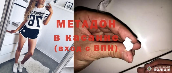 хмурый Аркадак