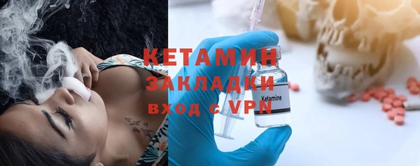 хмурый Аркадак