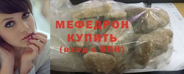 хмурый Аркадак