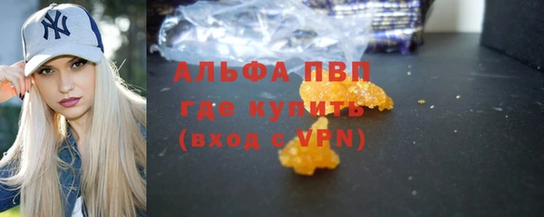 хмурый Аркадак