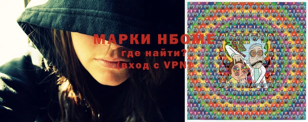 хмурый Аркадак