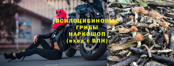 твердый Арсеньев