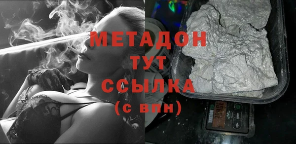 хмурый Аркадак