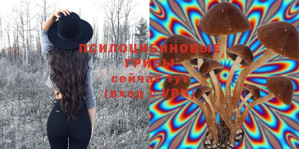 твердый Арсеньев