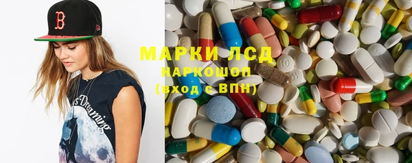 хмурый Аркадак